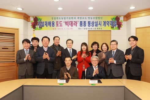 대세통상 이미지