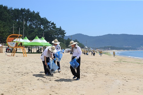 완도 이미지