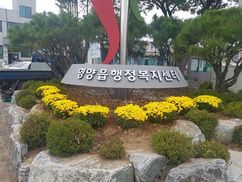 꽃단장 이미지
