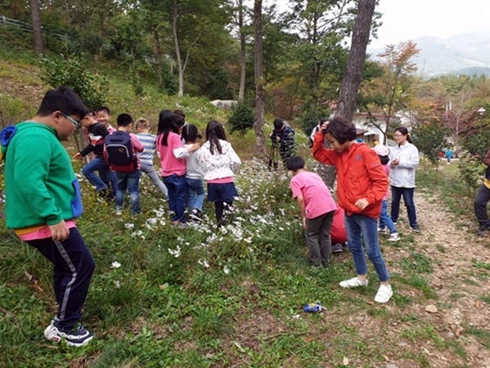 천관산자연휴양림 이미지