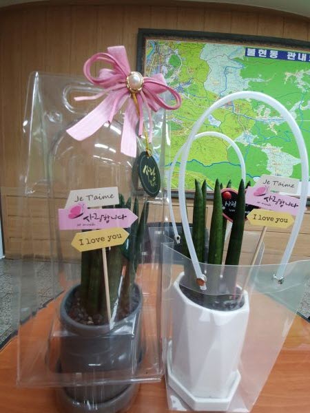 그린화원 이미지